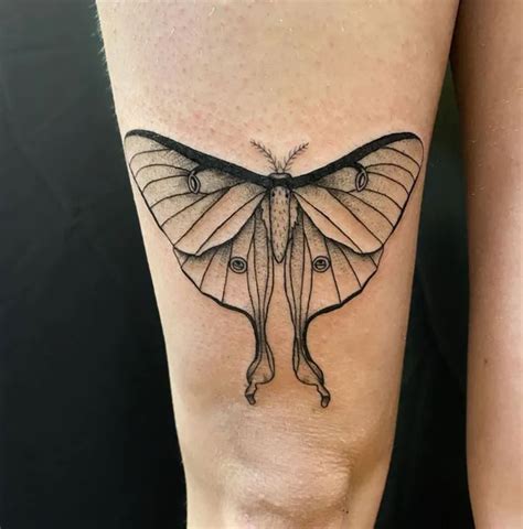 black luna moth tattoo|86 Remarkable Luna Moth Tattoos That Are On The。